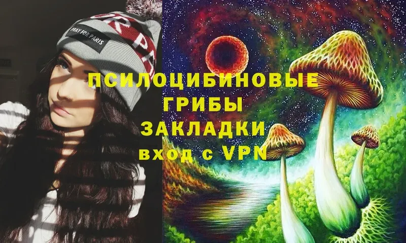 Псилоцибиновые грибы Psilocybine cubensis  Бор 